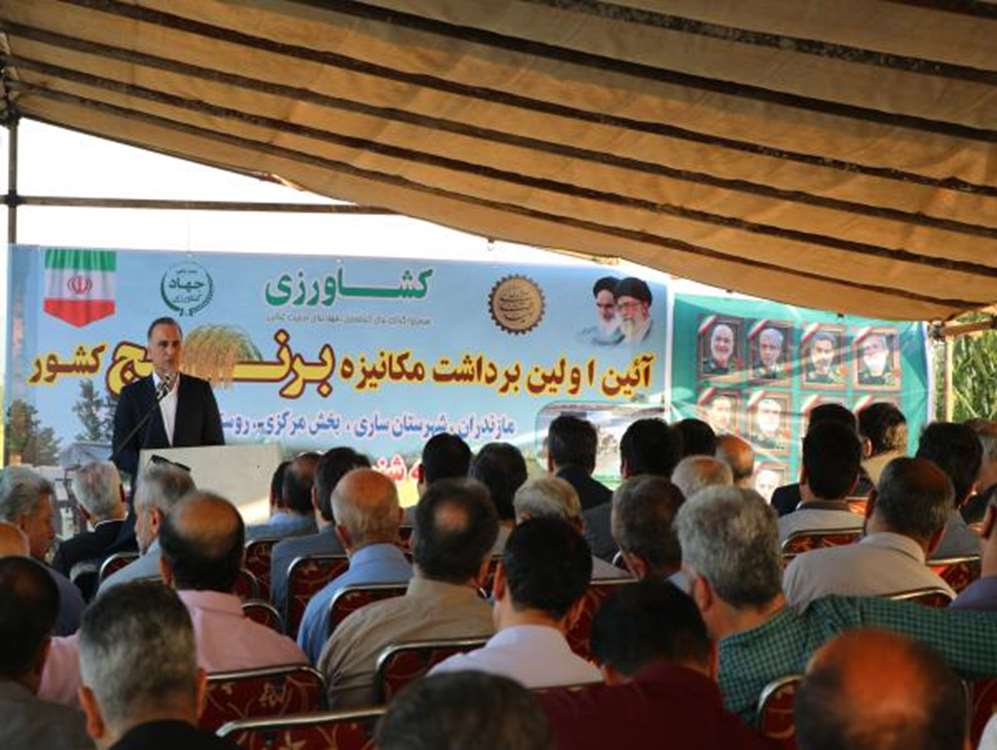 تضمین خرید برنج کشاورزان بالاتر از قیمت تمام‌شده